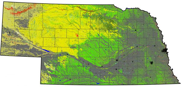 Introduction - Birds of Nebraska - Online