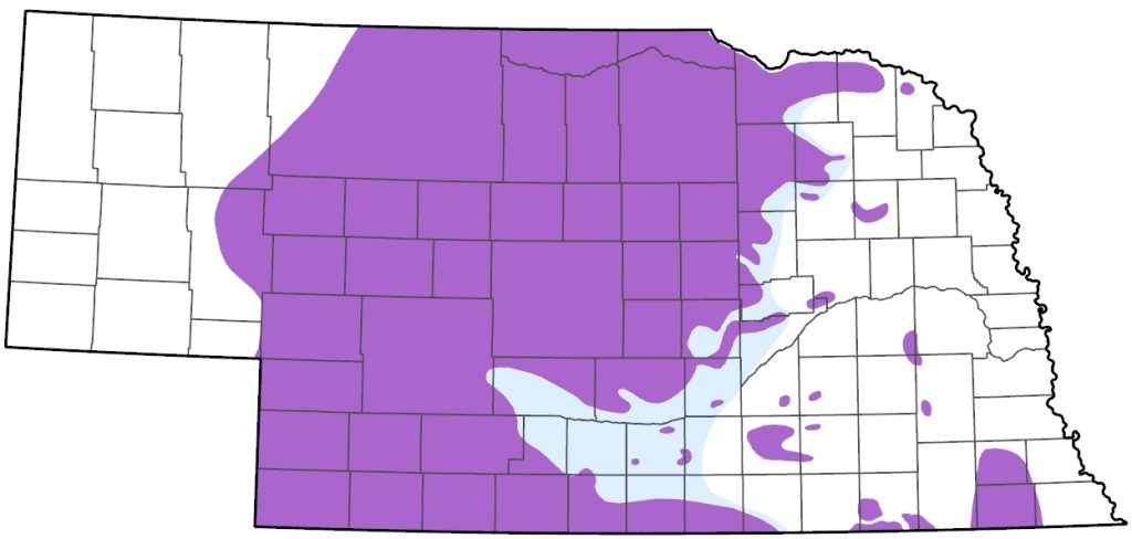 Greater Prairie-Chicken range Nebraska
