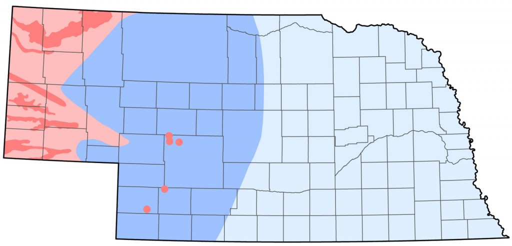 Golden Eagle Birds Of Nebraska Online