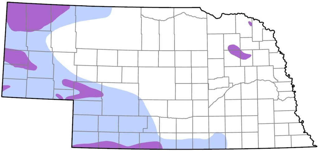 Black-billed Magpie range July 2022_