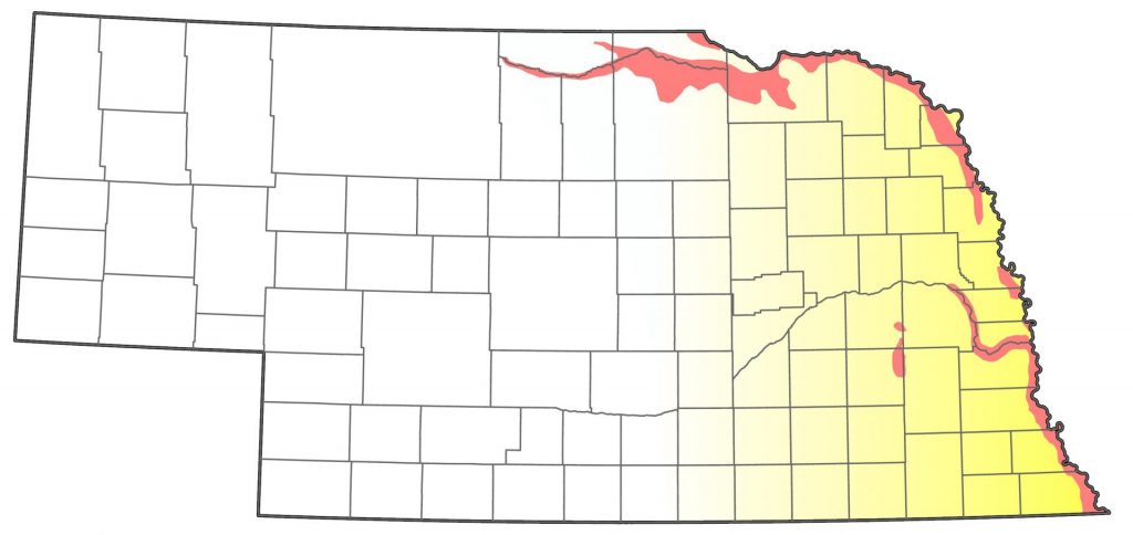 Scarlet Tanager range map